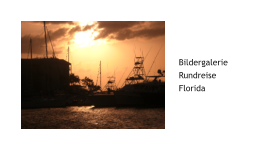 BildergalerieRundreiseFlorida